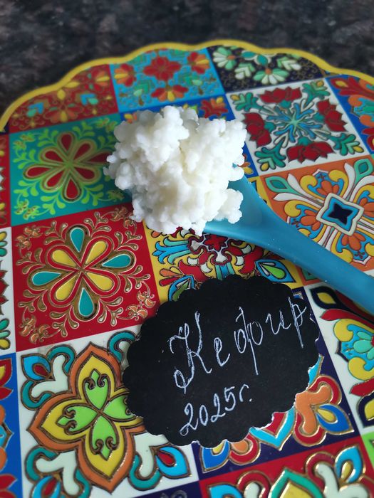 Кефир зърна от кефир