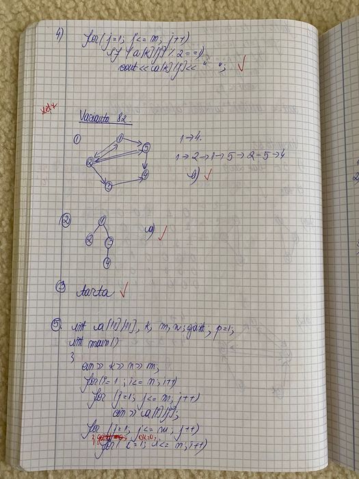 Rezolvari bac informatica 2009