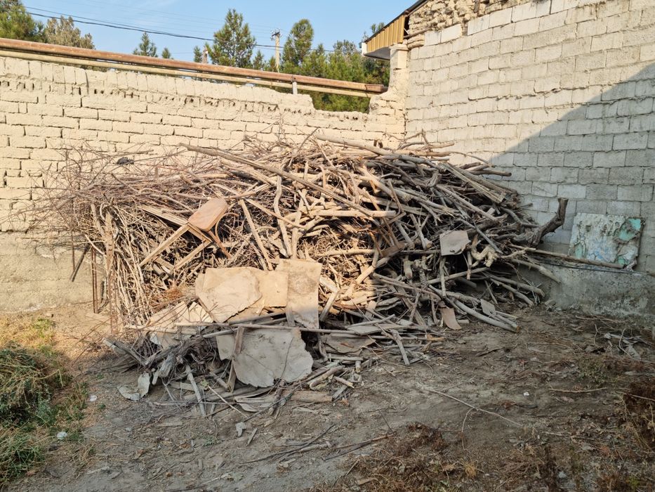 Утин Сотилади Кунда Шохлар