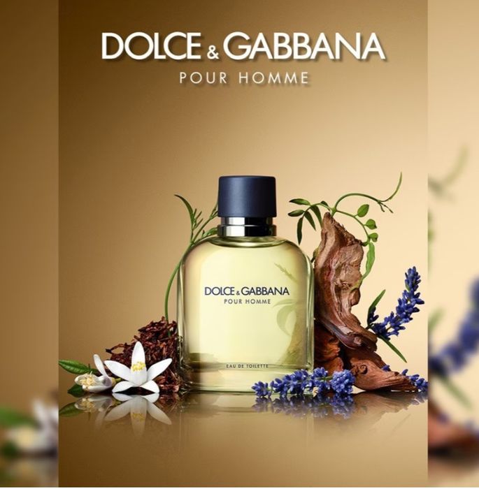 Dolce Gabbana Homme