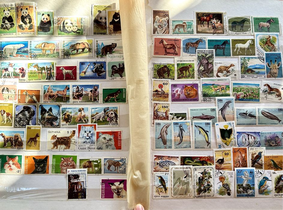 Vând album timbre pentru colecționari