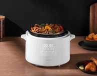 Скороварка Xiaomi Electric Pressure Cooker 4.8L EU