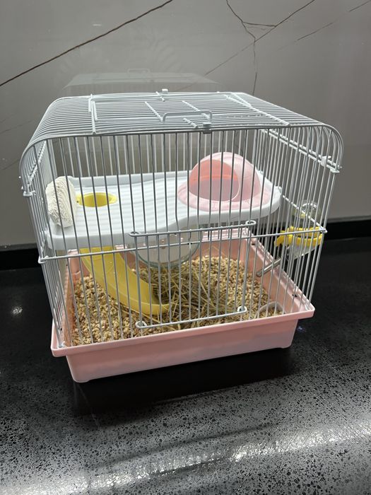 Джунгарский хомяк с клеткой