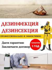 Дезинфекция Уничтожение клопов тараканов мошек муравьев блох вшей крыс