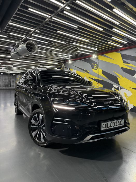 Byd champion smart srochna