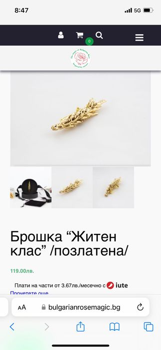 Позлатено Бижу- брошка за чудесен подарък