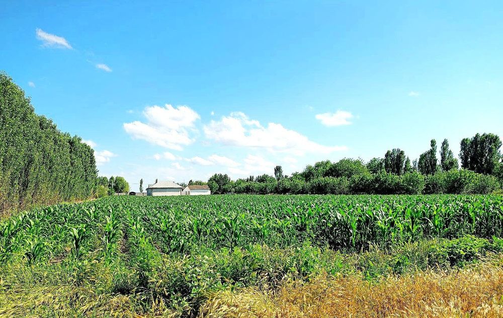 Uy sotiladi Дом продаëтся