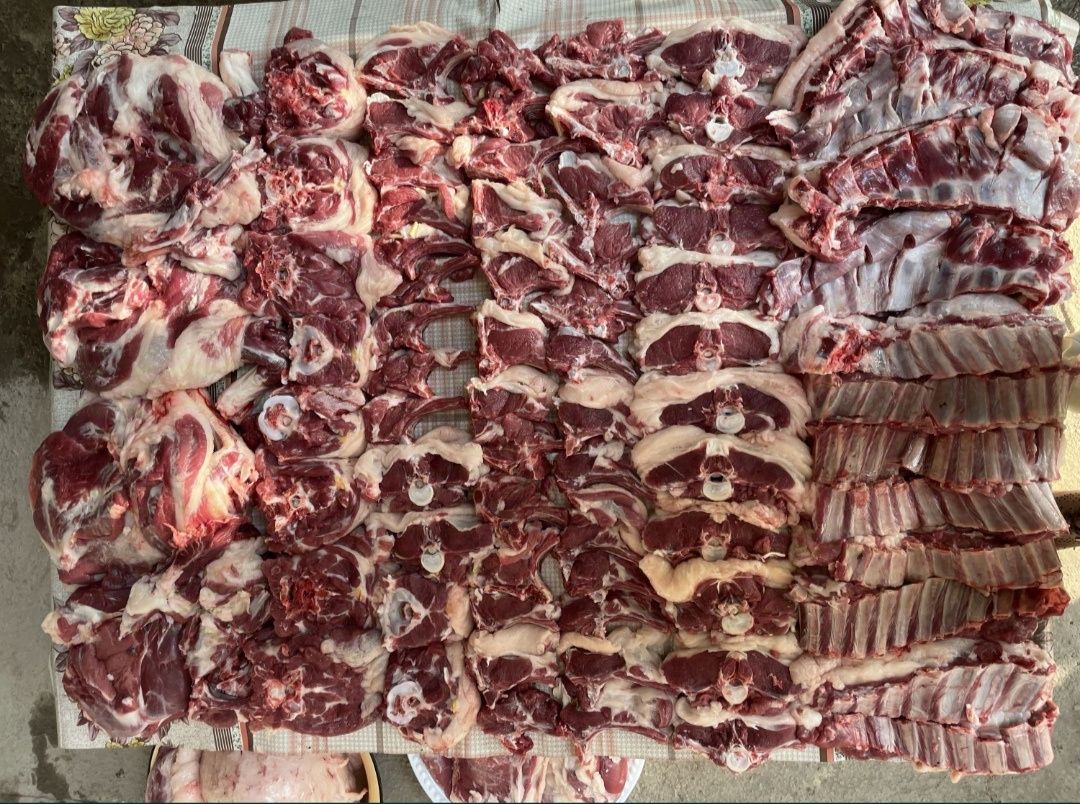 Qassob xizmatingizda