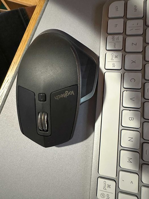 Mouse Logitech MX Master