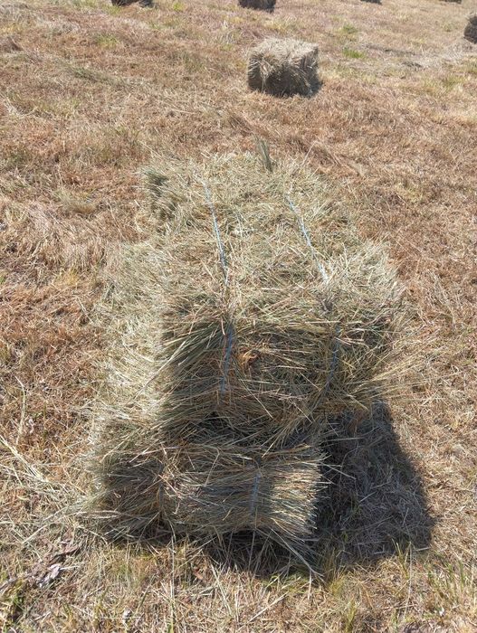Baloți de fân și lucernă