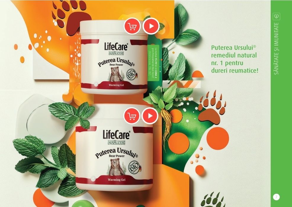Puterea ursului si Gheara Dracului Life Care