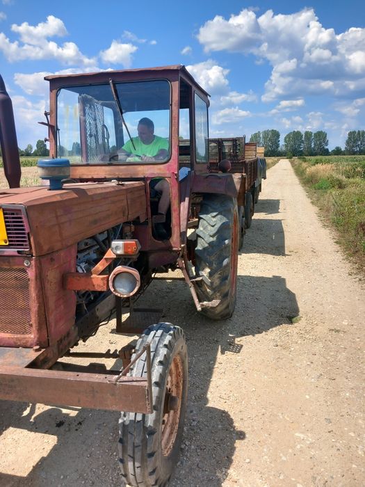 Vând ovăz, preț 1,20kg ,se poate găsi la Gura Foii