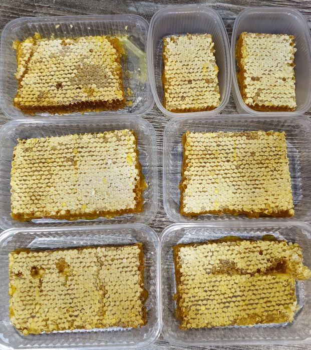 Мёд в сотах, прополис