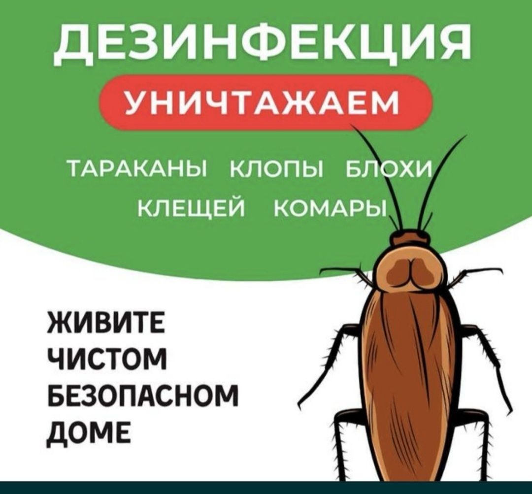 Уничтожение насекомых