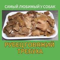 Рубец / требуха говяжья - самый любимый корм для собак в Алматы