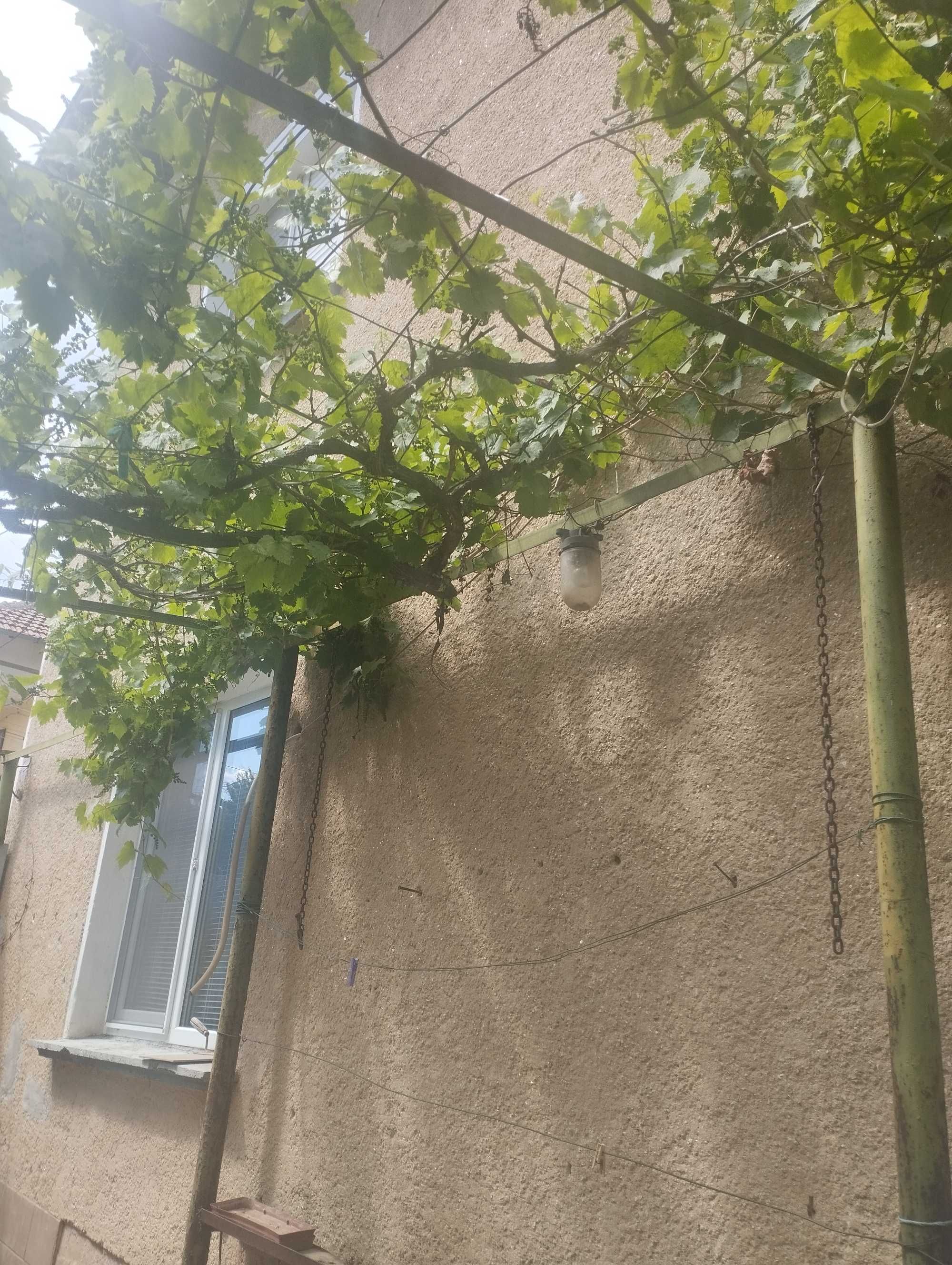 Къща село Николаево област Плевен