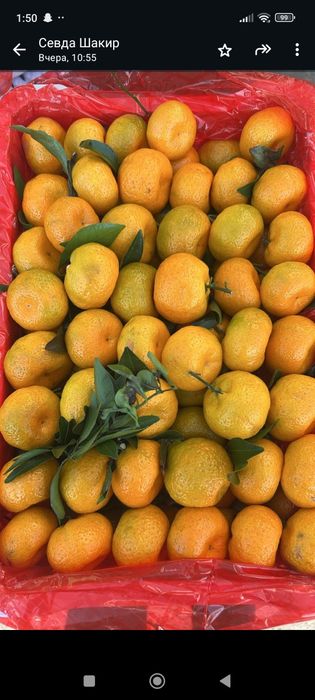 Мандарины сладкие без косточек