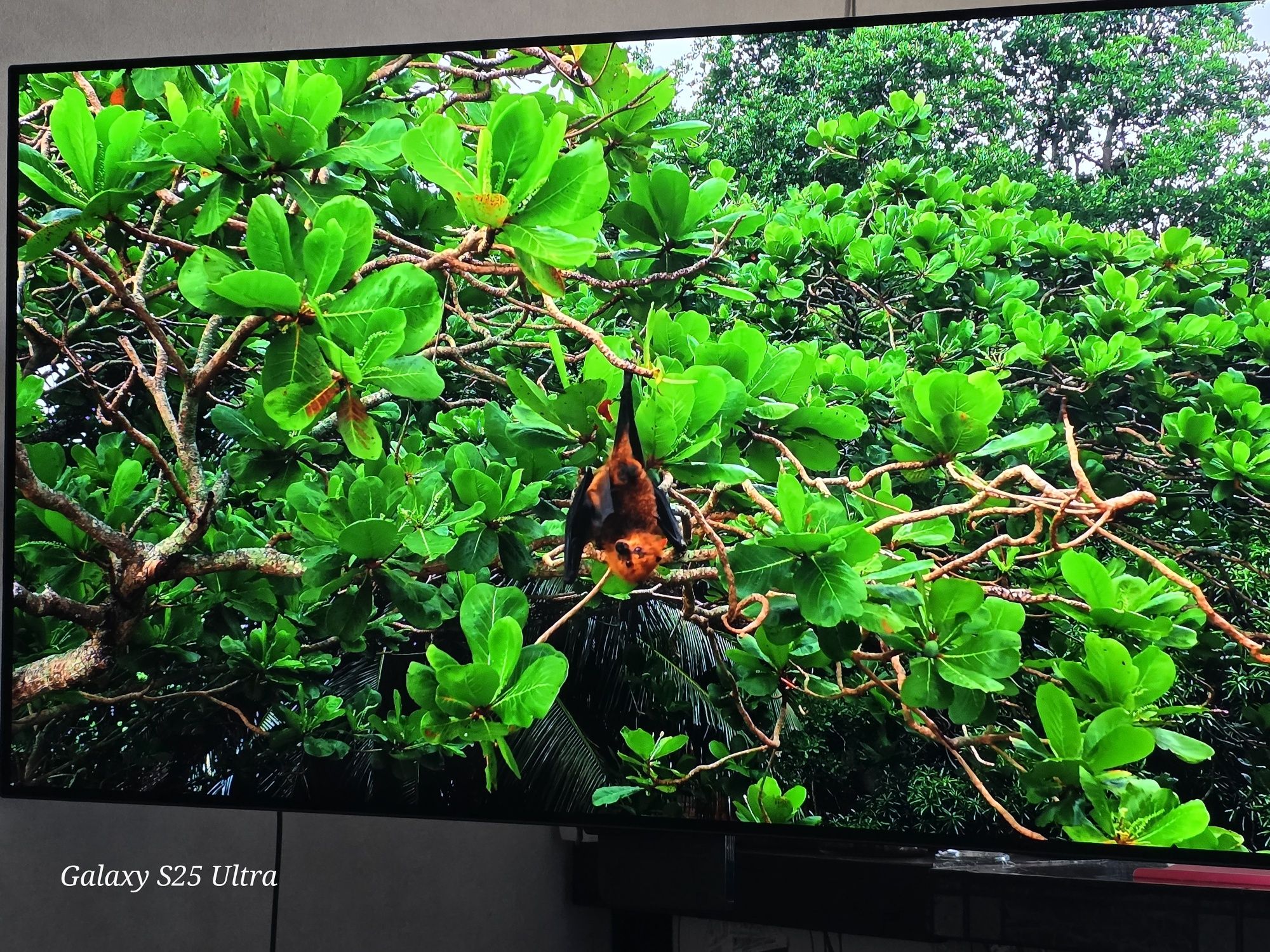 В гаранция  LG OLED OLED55B23LA, 55" (139 см), Smart, 4K, 100