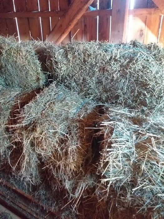 Baloti fin drepunghiular