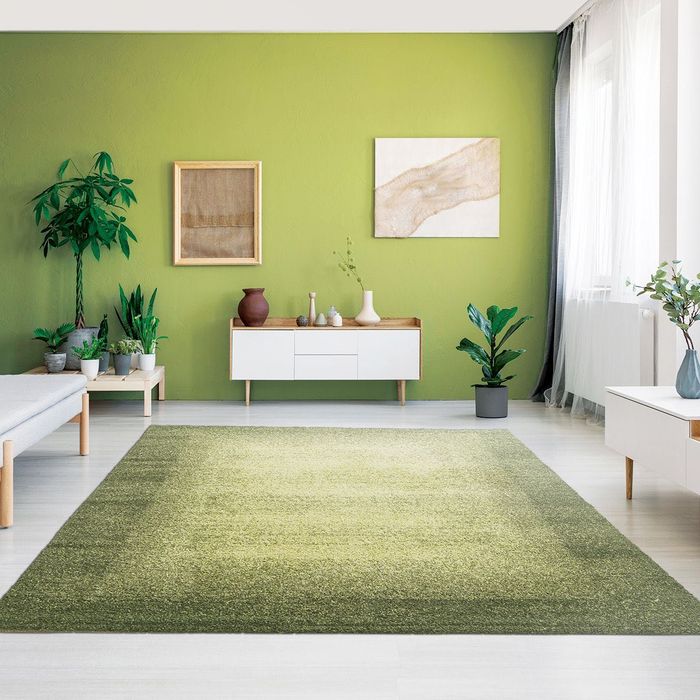 Covor Nepal verde olive Diego 160/230