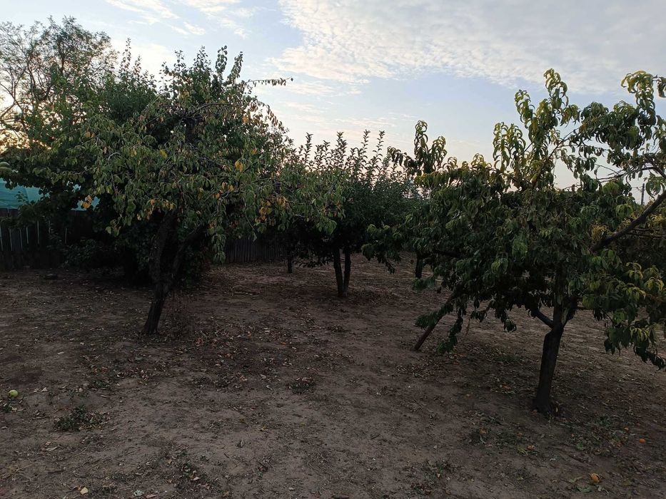 Vând Casă! Segarcea Deal!