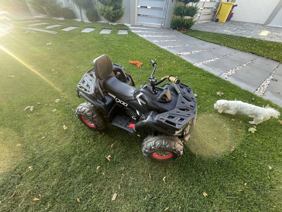 ATV electric DESERT