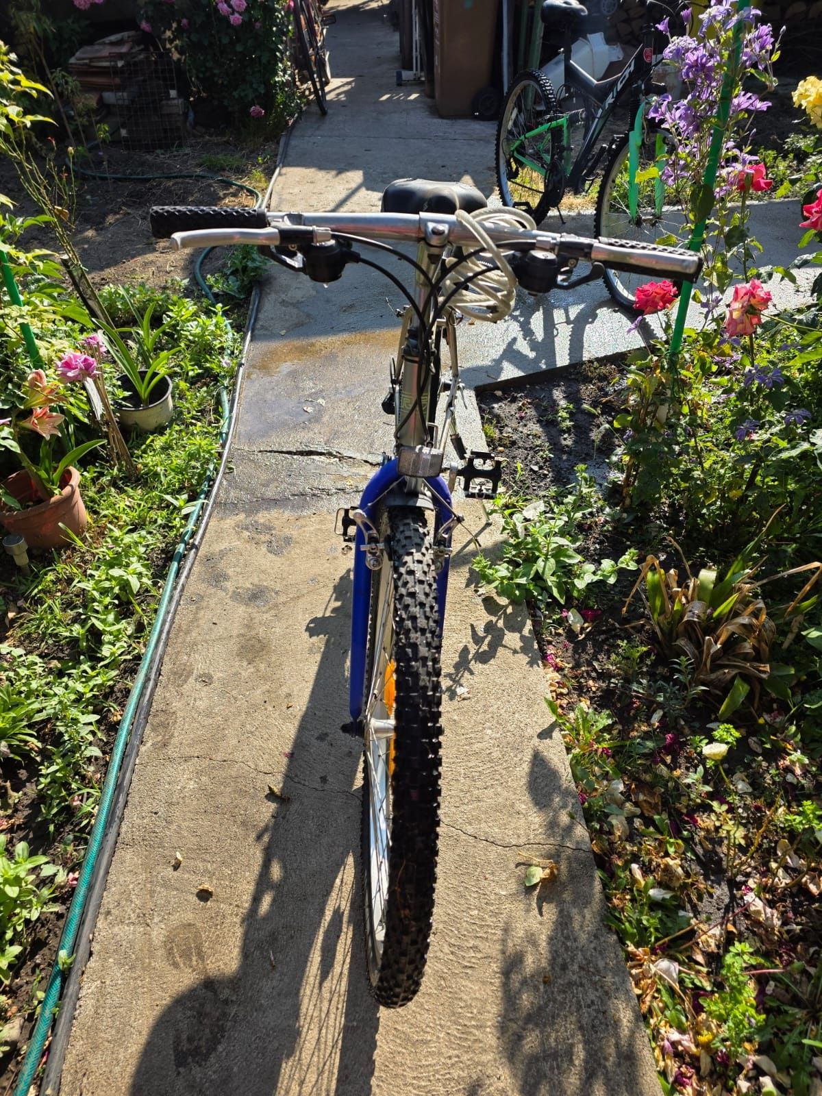 Biciclete dama și barbati în stare foarte bună