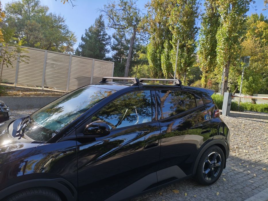 Багажник на крышу. Byd seagull