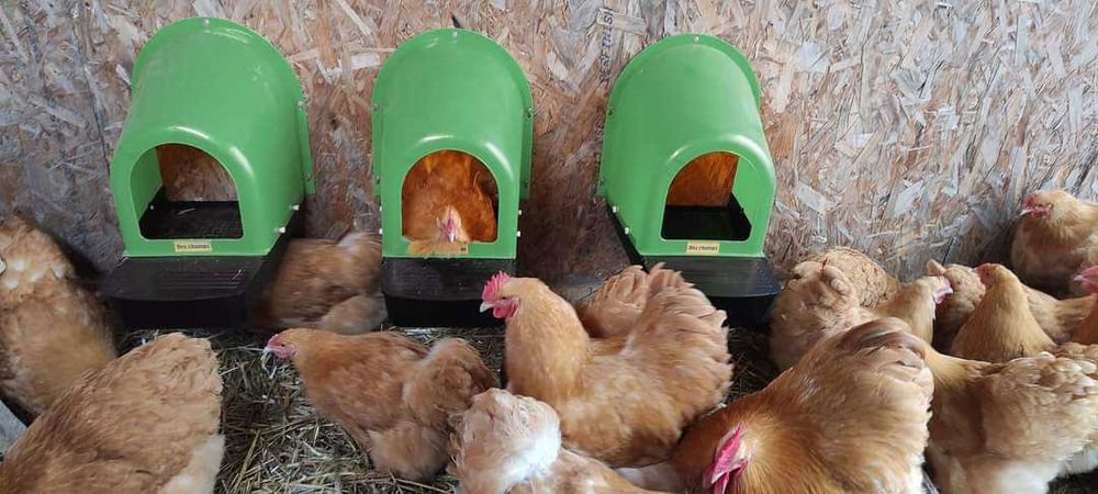 Гнезда за кокошки, Полог за снасяне V2 ЖЪЛТ/ЗЕЛЕН (К-кт 5 броя )