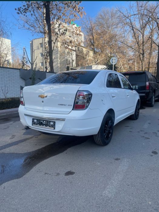 COBALT Midnayt Premium