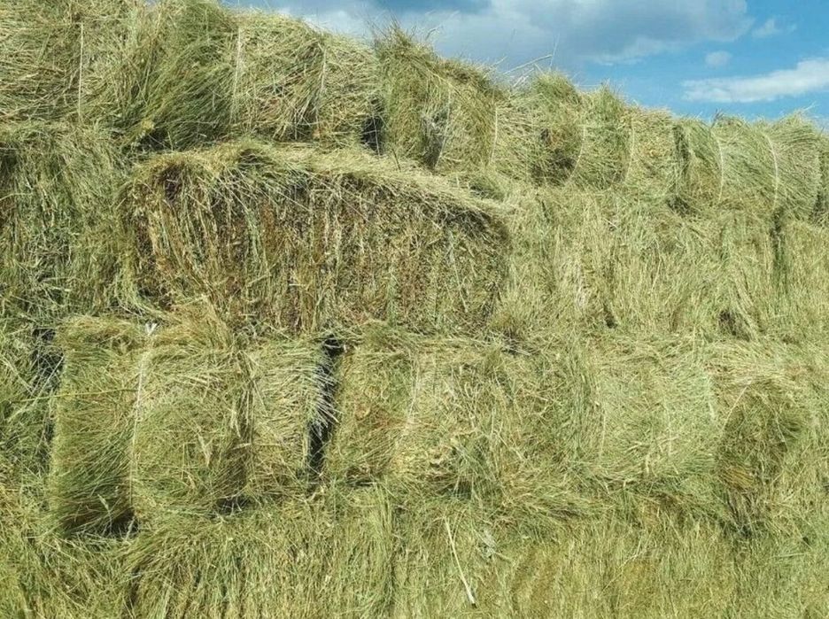 Продам сено в  тюках