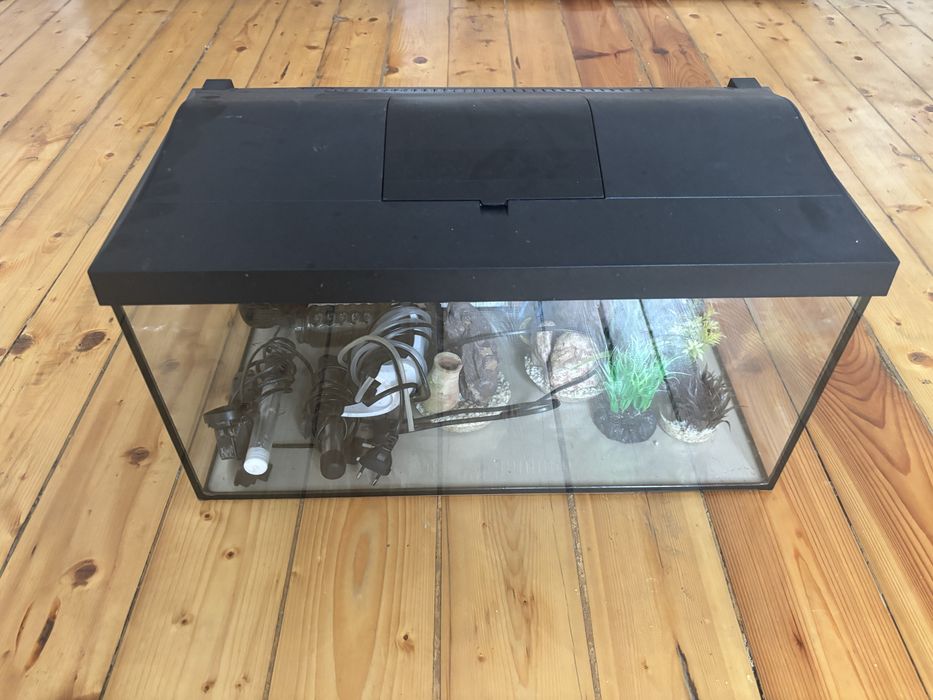 Аквариум 60 л със всичко налично