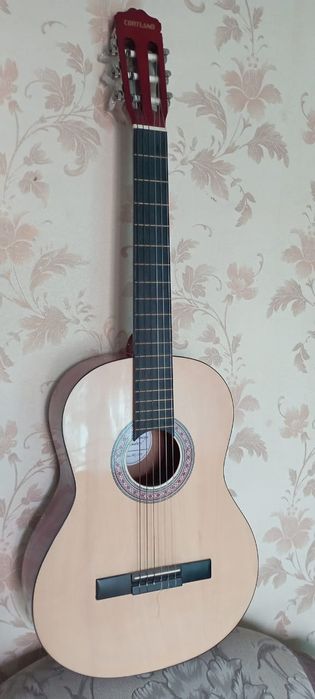 Гитара  В отличном состоянии.