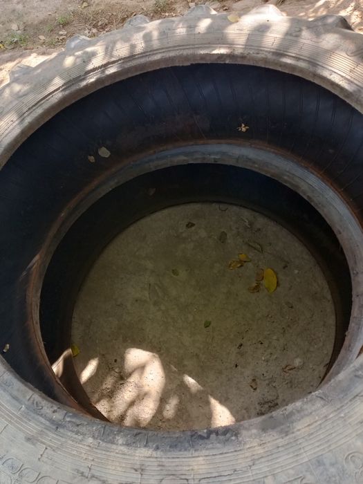 Traktor baloni sotiladi donasi 1 milyon