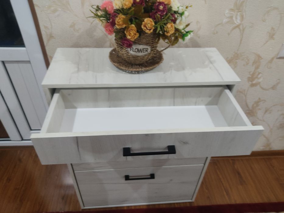 Padobuv yangi turdagi.