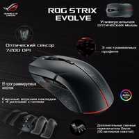 СКИДКА! Asus Rog Evolve/ресурс 50млннаж, Проводная Игровая мышка/мышь