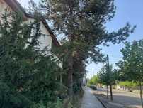 Apartament Calafat