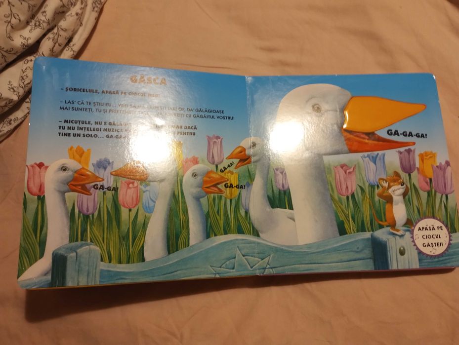 Ferma mea - atinge, simte, asculta