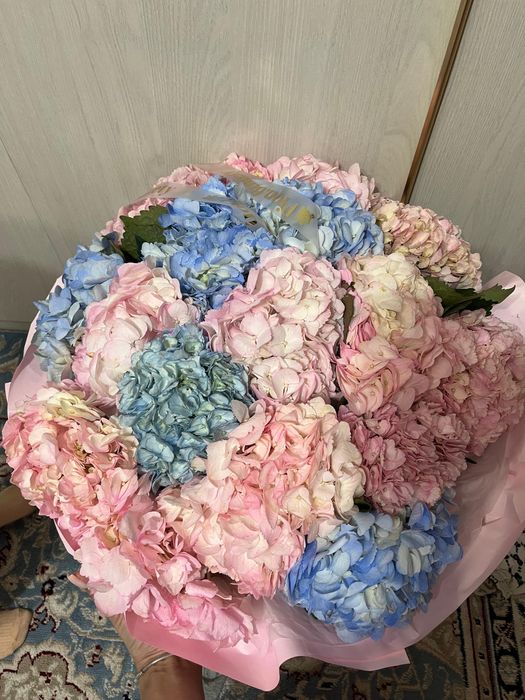 Цветы Алматы Алатау