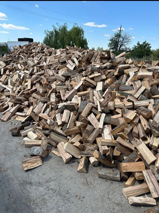 Vând lemne de fag uscat posibilitate rate 0 avans