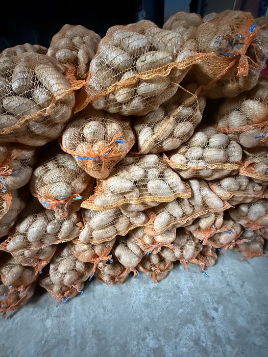 Cartofi albi soi:prada