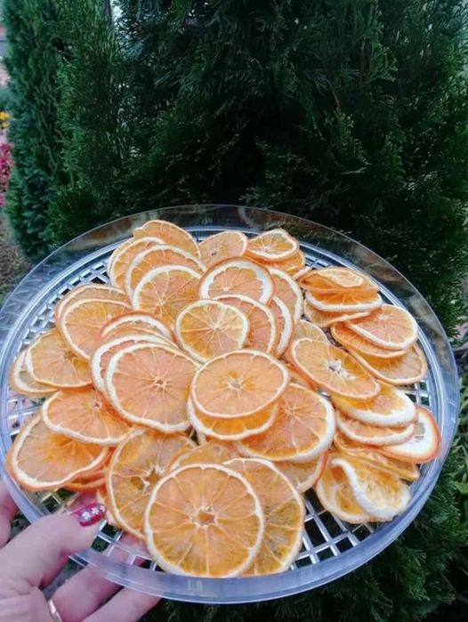 Сушени портокали, грейпфрут, лимон, канелени пръчки