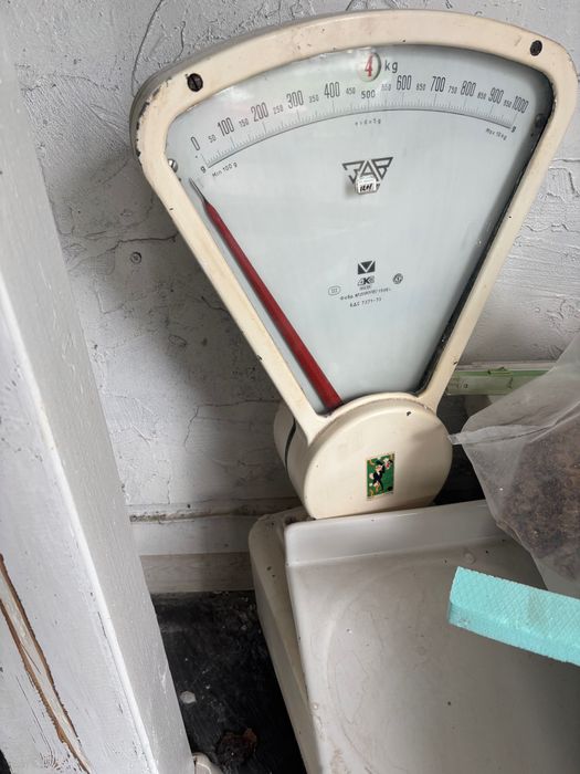 Търговки кантар,