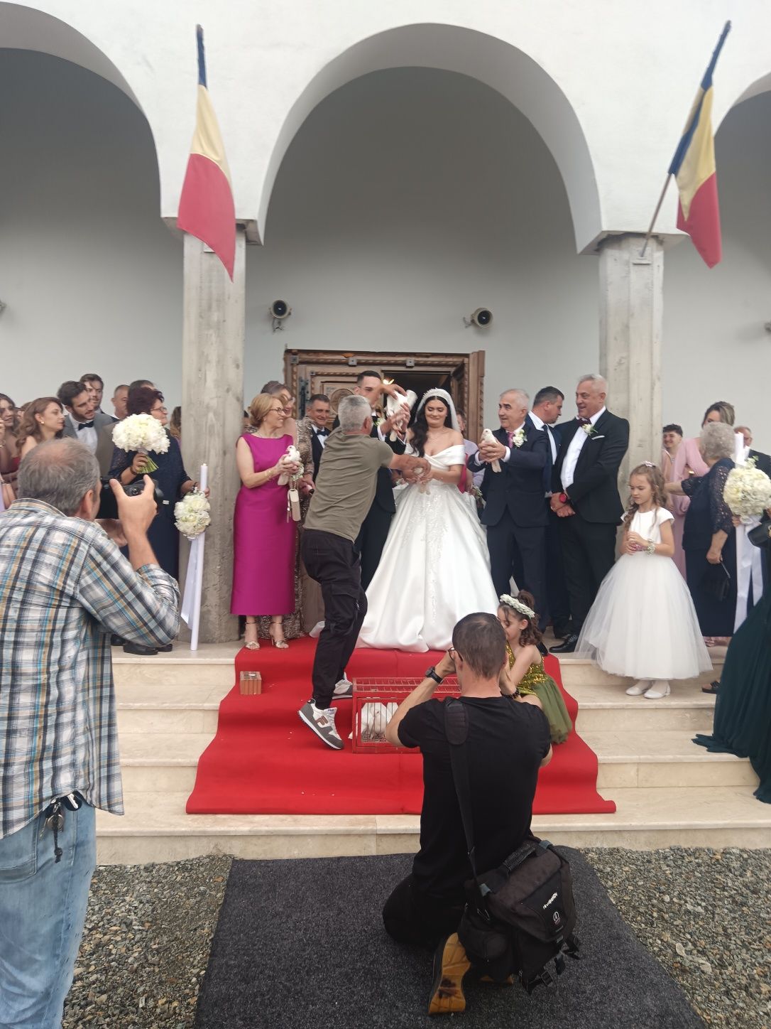 Porumbei evenimente Timișoara