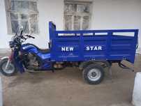 NEW STAR  2023 xamma dakimintlari joyida uzimni nomimda