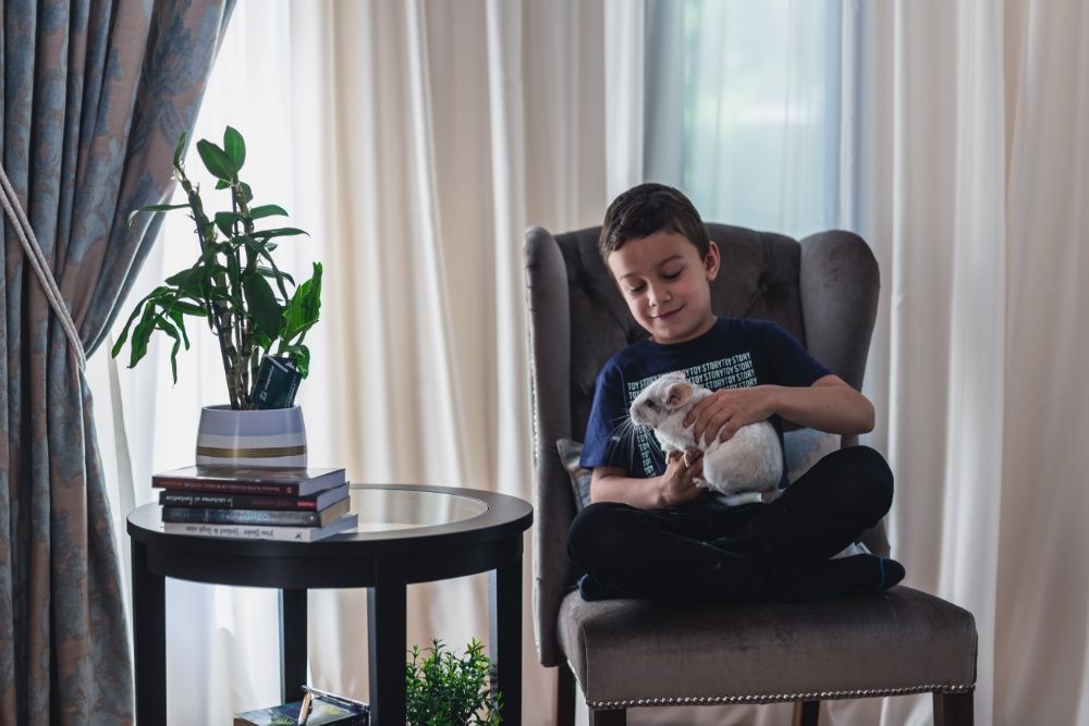 Chinchilla Sinsila Mozaic