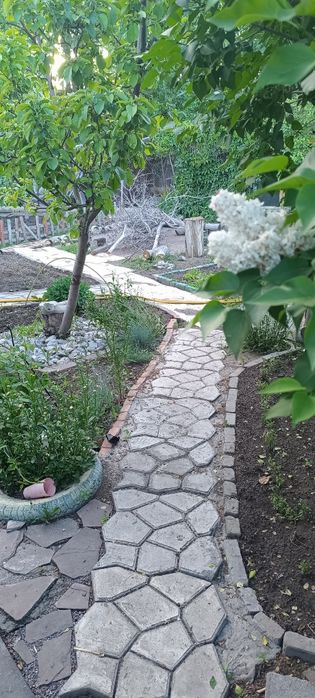 Продам дачу плодородия