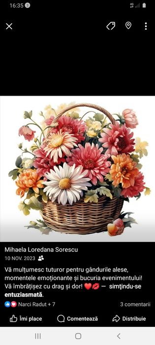 Meditații-lb. străine