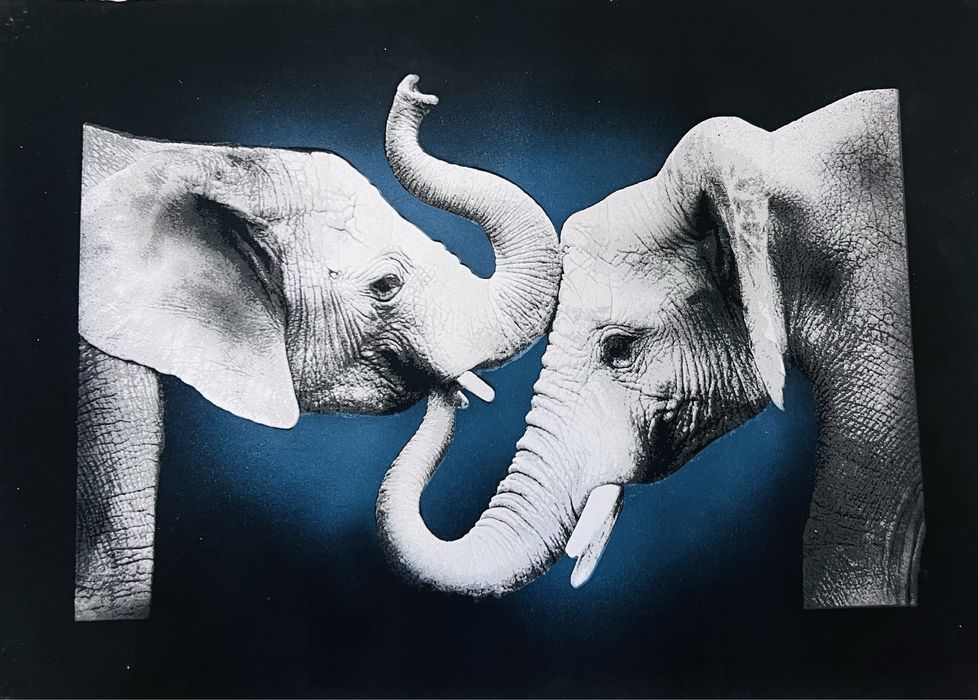 Картина. Джокер и Слоны