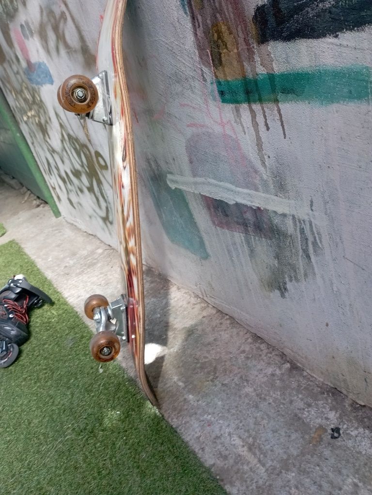 Skateboard pentru pasionați